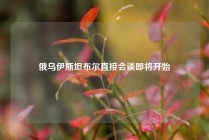 俄乌伊斯坦布尔直接会谈即将开始