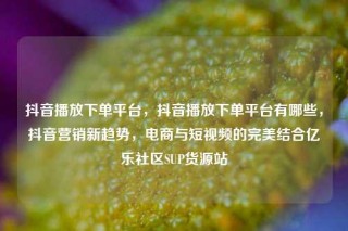 抖音播放下单平台，抖音播放下单平台有哪些，抖音营销新趋势，电商与短视频的完美结合亿乐社区SUP货源站