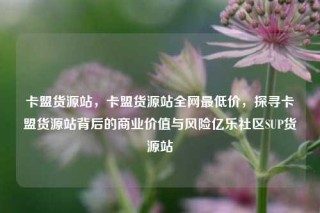 卡盟货源站，卡盟货源站全网最低价，探寻卡盟货源站背后的商业价值与风险亿乐社区SUP货源站