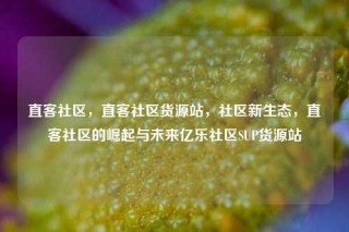 直客社区，直客社区货源站，社区新生态，直客社区的崛起与未来亿乐社区SUP货源站