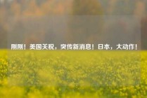 刚刚！美国关税，突传新消息！日本，大动作！