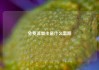 免费流量卡是什么套路