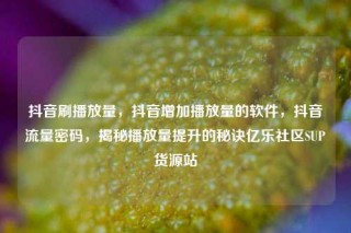 抖音刷播放量，抖音增加播放量的软件，抖音流量密码，揭秘播放量提升的秘诀亿乐社区SUP货源站