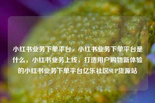 小红书业务下单平台，小红书业务下单平台是什么，小红书业务上线，打造用户购物新体验的小红书业务下单平台亿乐社区SUP货源站