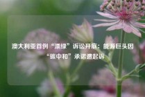 澳大利亚首例“漂绿”诉讼开庭：能源巨头因“碳中和”承诺遭起诉