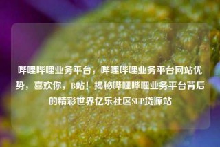 哔哩哔哩业务平台，哔哩哔哩业务平台网站优势，喜欢你，B站！揭秘哔哩哔哩业务平台背后的精彩世界亿乐社区SUP货源站