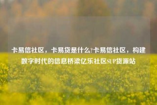 卡易信社区，卡易贷是什么?卡易信社区，构建数字时代的信息桥梁亿乐社区SUP货源站