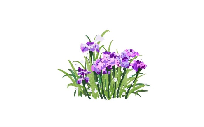 花开之处	，便是故地  第3张