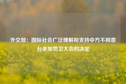 外交部：国际社会广泛理解和支持中方不同意台参加世卫大会的决定  第1张
