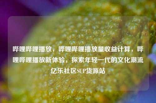 哔哩哔哩播放，哔哩哔哩播放量收益计算	，哔哩哔哩播放新体验，探索年轻一代的文化潮流亿乐社区SUP货源站  第1张