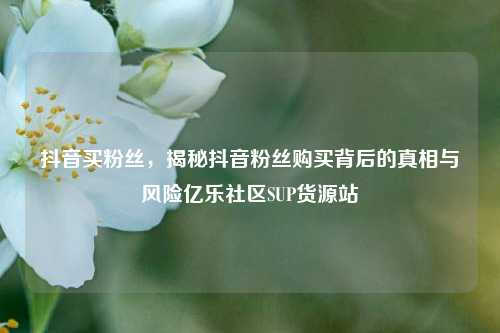 抖音买粉丝，揭秘抖音粉丝购买背后的真相与风险亿乐社区SUP货源站  第1张