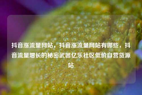 抖音涨流量网站	，抖音涨流量网站有哪些，抖音流量增长的秘密武器亿乐社区低价自营货源站  第1张
