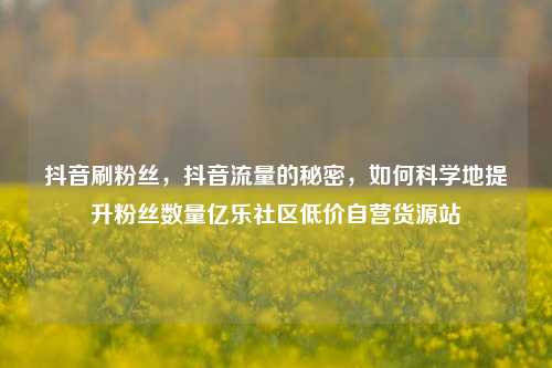 抖音刷粉丝	，抖音流量的秘密，如何科学地提升粉丝数量亿乐社区低价自营货源站  第1张