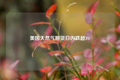 美国天然气期货日内跌超3%  第1张