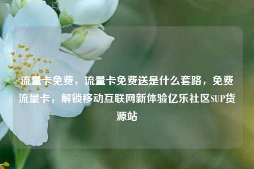 流量卡免费，流量卡免费送是什么套路，免费流量卡，解锁移动互联网新体验亿乐社区SUP货源站  第1张