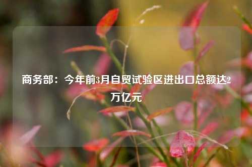 商务部：今年前3月自贸试验区进出口总额达2万亿元  第1张