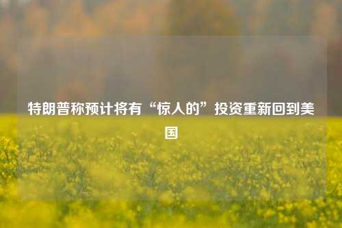 特朗普称预计将有“惊人的	”投资重新回到美国  第1张
