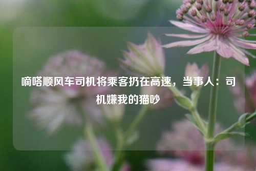 嘀嗒顺风车司机将乘客扔在高速，当事人：司机嫌我的猫吵  第1张