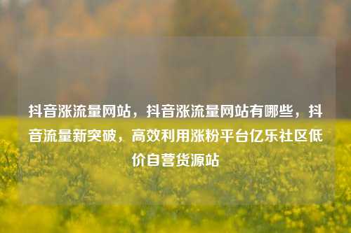 抖音涨流量网站，抖音涨流量网站有哪些	，抖音流量新突破，高效利用涨粉平台亿乐社区低价自营货源站  第1张