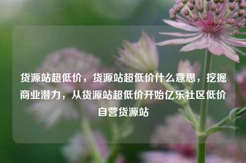 货源站超低价，货源站超低价什么意思	，挖掘商业潜力，从货源站超低价开始亿乐社区低价自营货源站  第1张