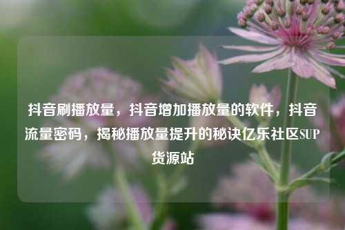 抖音刷播放量	，抖音增加播放量的软件，抖音流量密码，揭秘播放量提升的秘诀亿乐社区SUP货源站  第1张