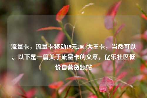 流量卡，流量卡移动19元200g大王卡，当然可以	。以下是一篇关于流量卡的文章，亿乐社区低价自营货源站  第1张