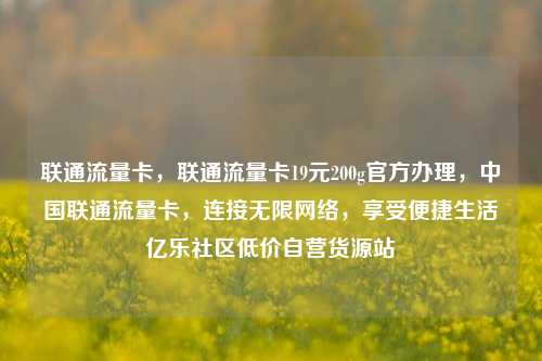 联通流量卡	，联通流量卡19元200g官方办理，中国联通流量卡，连接无限网络	，享受便捷生活亿乐社区低价自营货源站  第1张
