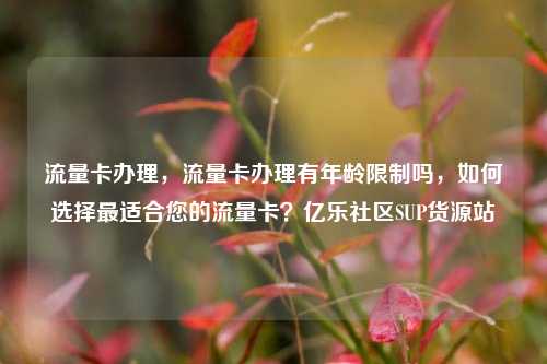 流量卡办理	，流量卡办理有年龄限制吗，如何选择最适合您的流量卡？亿乐社区SUP货源站  第1张