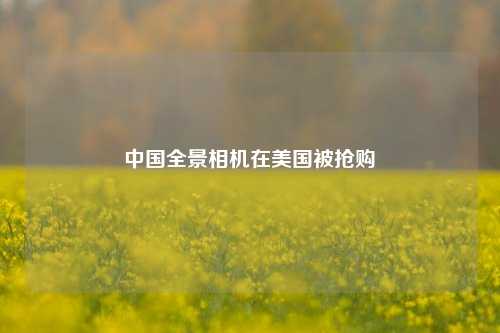 中国全景相机在美国被抢购   第1张