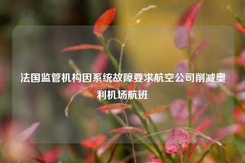 法国监管机构因系统故障要求航空公司削减奥利机场航班  第1张