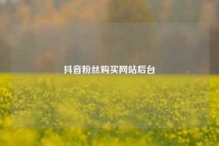 抖音粉丝购买网站后台