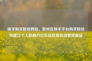 快手购买粉丝网站，如何在快手平台购买粉丝并建立个人影响力亿乐社区低价自营货源站