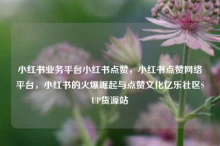 小红书业务平台小红书点赞，小红书点赞网络平台，小红书的火爆崛起与点赞文化亿乐社区SUP货源站