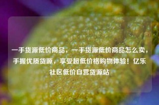 一手货源低价商品，一手货源低价商品怎么卖，手握优质货源，享受超低价格购物体验！亿乐社区低价自营货源站