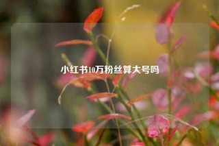 小红书10万粉丝算大号吗