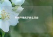 哔哩哔哩属于什么行业