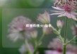 哔哩哔哩2021版本