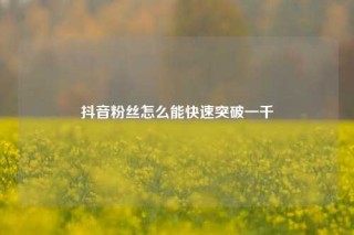 抖音粉丝怎么能快速突破一千