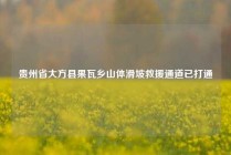 贵州省大方县果瓦乡山体滑坡救援通道已打通
