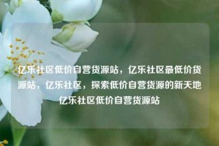 亿乐社区低价自营货源站，亿乐社区最低价货源站，亿乐社区，探索低价自营货源的新天地亿乐社区低价自营货源站