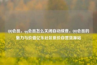 QQ会员，qq会员怎么关闭自动续费，QQ会员的魅力与价值亿乐社区低价自营货源站