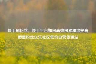快手刷粉丝，快手平台如何高效积累和维护高质量粉丝亿乐社区低价自营货源站