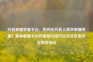 抖音刷播放量平台，如何在抖音上高效刷播放量？揭秘刷量平台的真相与技巧亿乐社区低价自营货源站
