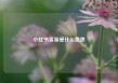 小红书客源是什么意思