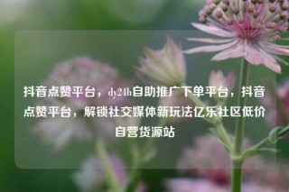 抖音点赞平台，dy24h自助推广下单平台，抖音点赞平台，解锁社交媒体新玩法亿乐社区低价自营货源站