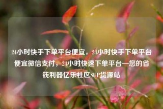 24小时快手下单平台便宜，24小时快手下单平台便宜微信支付，24小时快速下单平台—您的省钱利器亿乐社区SUP货源站
