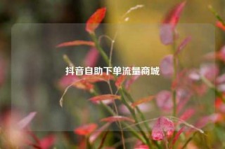 抖音自助下单流量商城