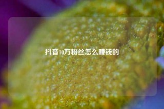 抖音10万粉丝怎么赚钱的
