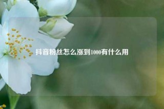 抖音粉丝怎么涨到1000有什么用