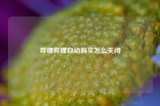 哔哩哔哩自动购买怎么关闭